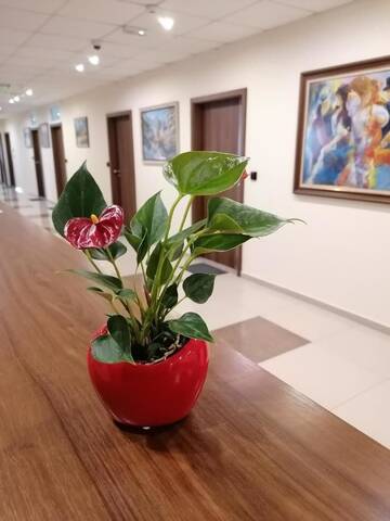 Фото номера Четырехместный номер &quot;Комфорт&quot; Отель Hotel Lago Peshtera г. Пештера 10