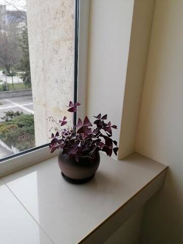 Фото номера Двухместный номер с 1 кроватью Отель Hotel Lago Peshtera г. Пештера 28